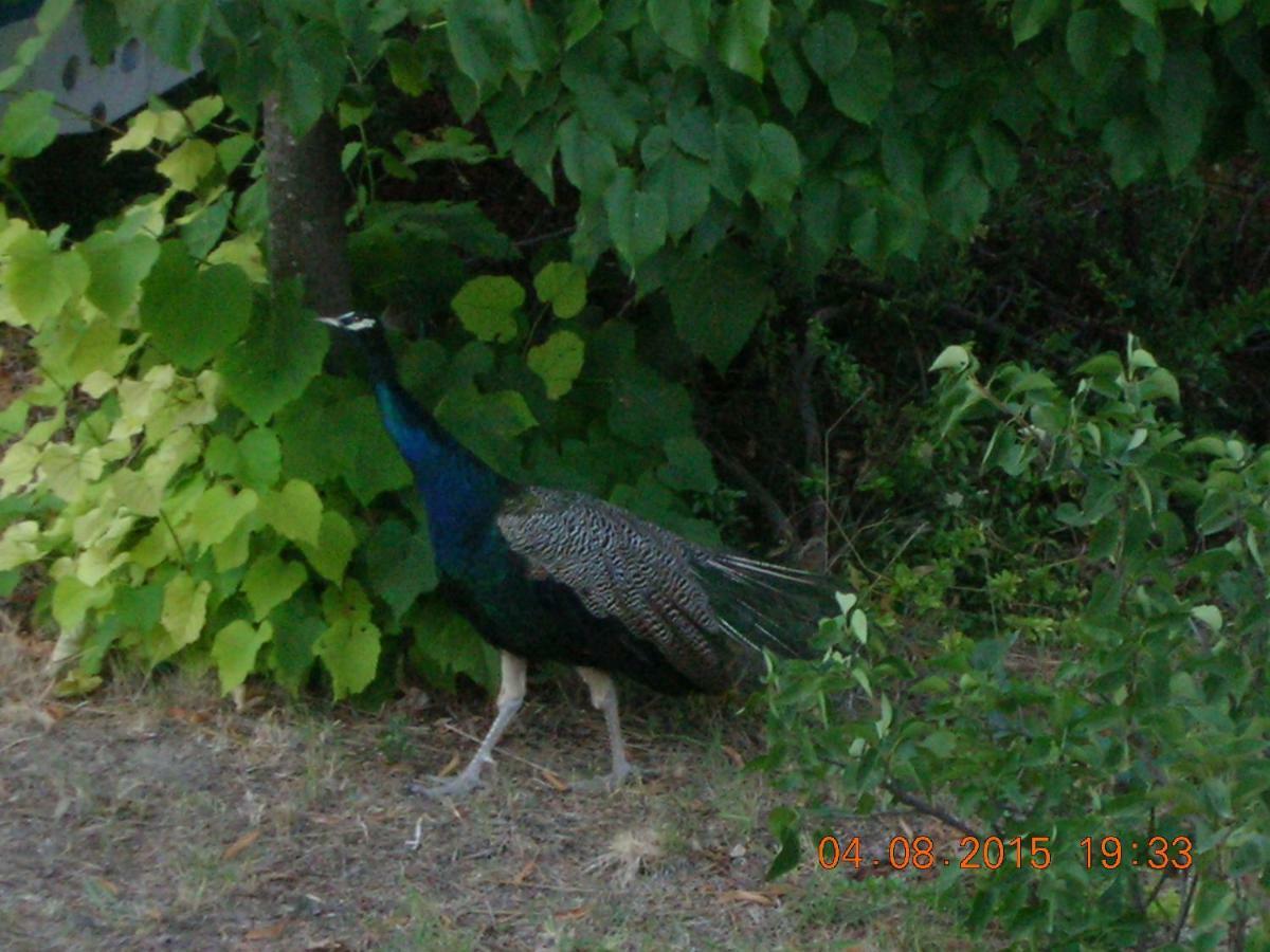 Peacock Villa Upper Epanomi Exterior foto
